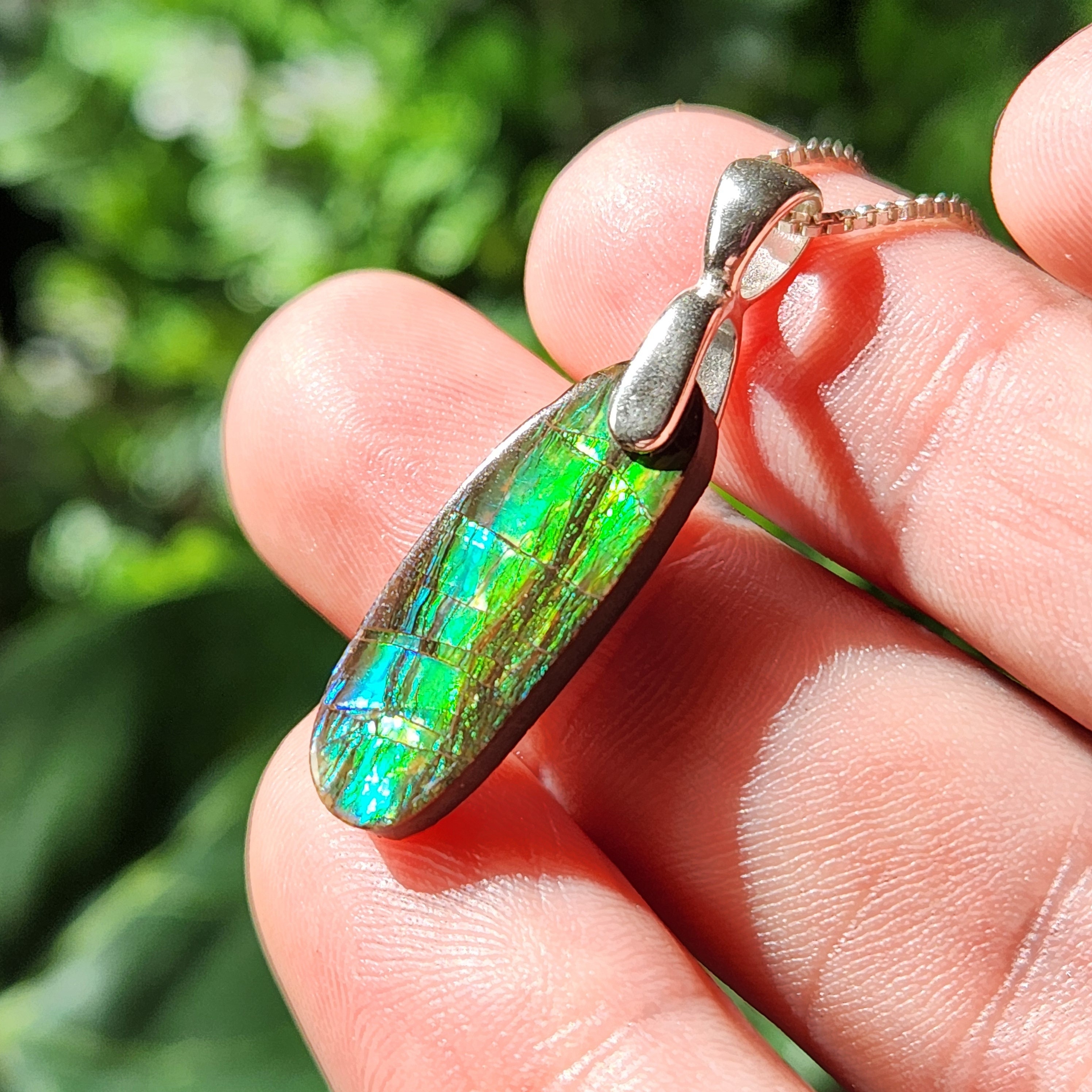 Ammolite Pendant: Opalized Ammonite Fossil Jewelry, Ammolite 