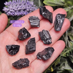 Peut inclure: Un ensemble de huit cristaux de tourmaline noire brute aux surfaces stri&eacute;es et irr&eacute;guli&egrave;res. Une &eacute;tiquette violette sur la gauche affiche le texte X-Small et 2-4g, indiquant la plage de poids de ces petits sp&eacute;cimens min&eacute;raux sombres.