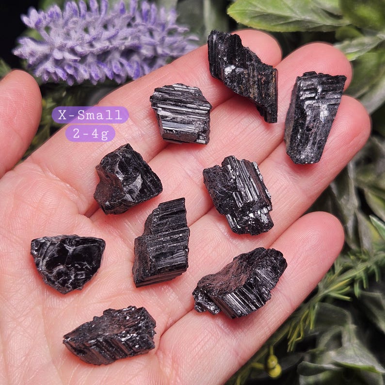 Peut inclure: Un ensemble de huit cristaux de tourmaline noire brute aux surfaces stri&eacute;es et irr&eacute;guli&egrave;res. Une &eacute;tiquette violette sur la gauche affiche le texte X-Small et 2-4g, indiquant la plage de poids de ces petits sp&eacute;cimens min&eacute;raux sombres.