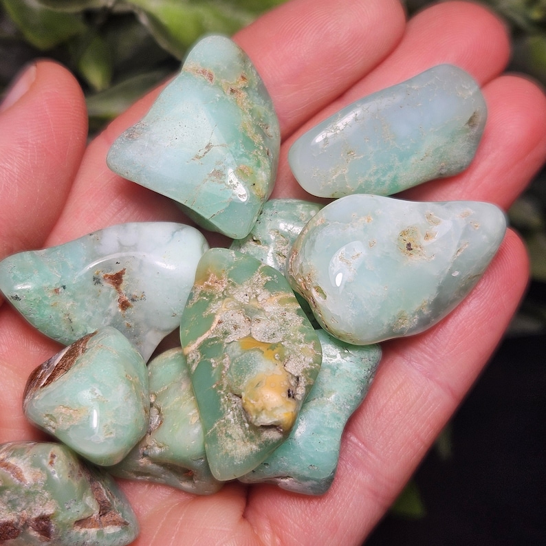May include: A collection of tumbled chrysoprase stones featuring smooth, polished surfaces in shades of pale mint green and seafoam. The stones display natural brown and tan inclusions, irregular organic shapes, and a glossy, reflective finish.