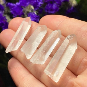 May include: Four clear quartz crystal points, also known as rock crystals, are displayed on a hand. The points are smooth and translucent, with a slight shimmer.