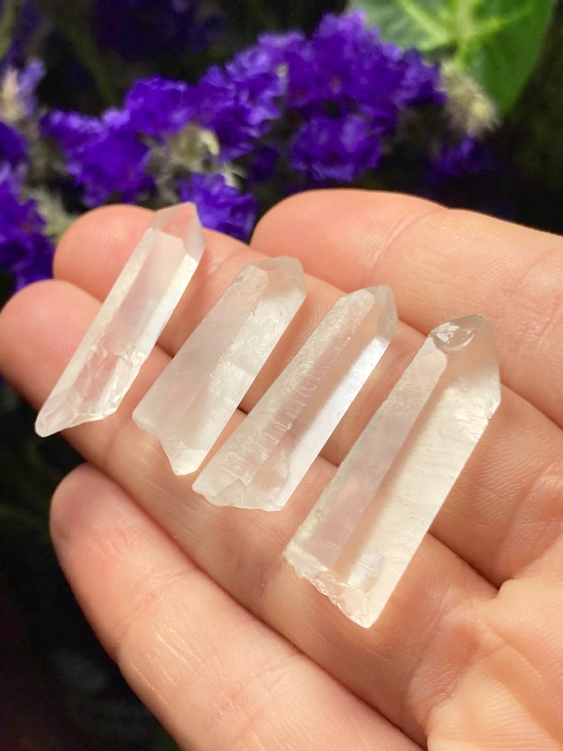May include: Four clear quartz crystal points, also known as rock crystals, are displayed on a hand. The points are smooth and translucent, with a slight shimmer.