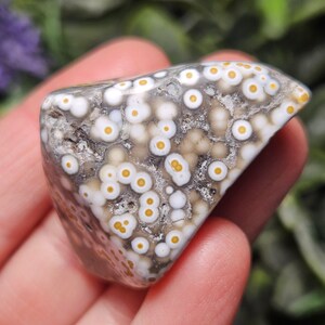 Puede incluir: Una piedra de jaspe oce&aacute;nico pulida con una base gris y marr&oacute;n con numerosos patrones circulares. Cada marca en forma de orbe consiste en un centro amarillo brillante rodeado por un anillo blanco distintivo, creando una textura moteada densa y multicapa en la superficie del esp&eacute;cimen mineral.