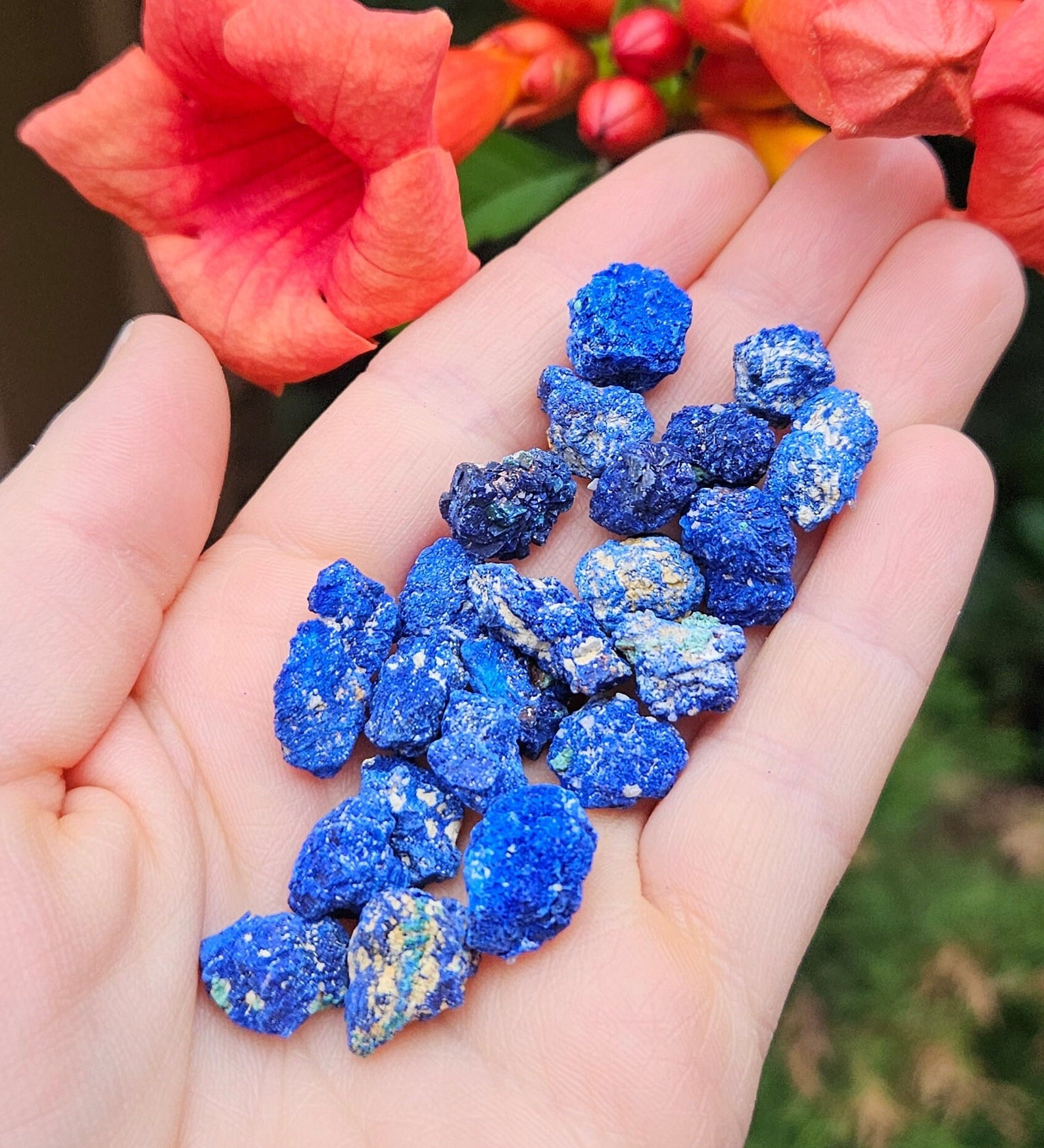 Raw Azurite crystals in vivid blue tones resting in a hand, used for balancing Taurus energy, with orange trumpet flowers in the background.