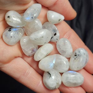 May include: A collection of polished moonstone gemstones. The stones are mainly white with iridescent blue and purple flashes. Some stones have small black inclusions. The gemstones are smooth and oval-shaped.