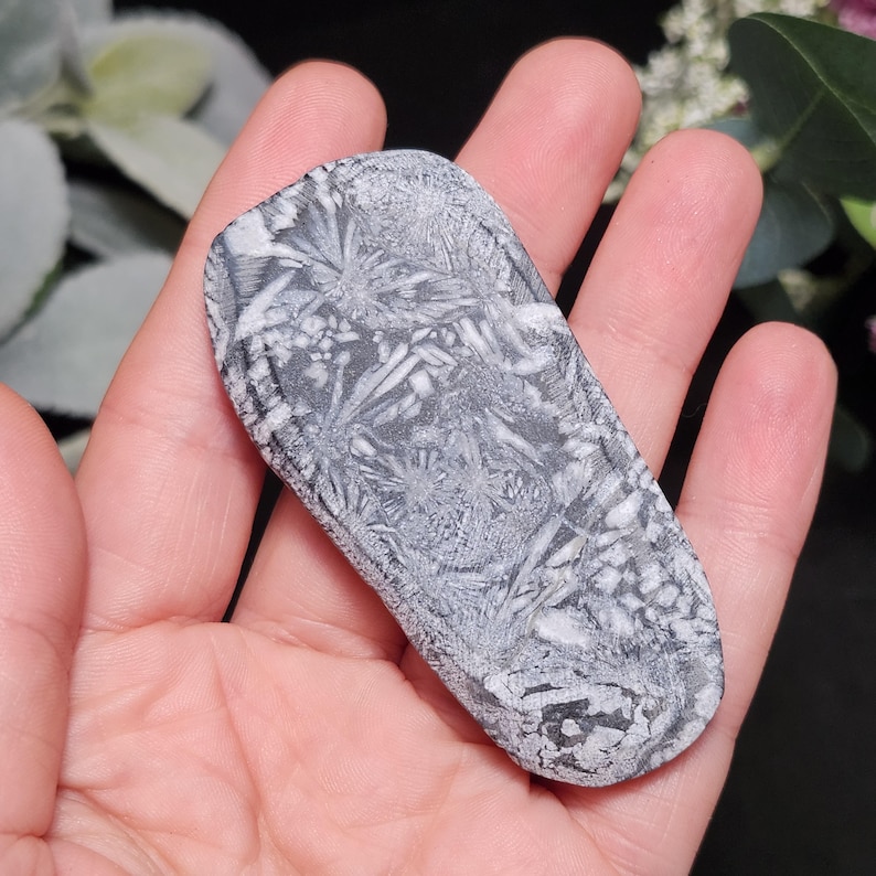 May include: A gray and white stone with a unique, intricate pattern. The stone is oblong and smooth, with a design resembling a network of delicate, crystallized formations. The color palette is primarily gray and white, creating a striking contrast.