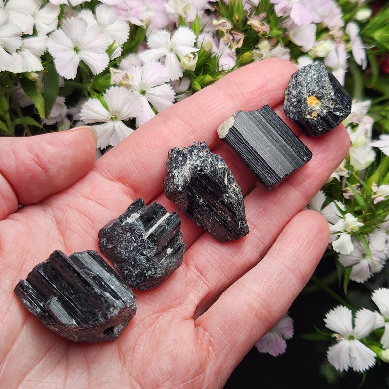 Peut inclure: Cinq cristaux de tourmaline noire brute avec des surfaces stri&eacute;es et des bords irr&eacute;guliers. Les pierres varient en forme et en taille, affichant une couleur noire profonde avec une texture naturelle et une petite inclusion min&eacute;rale jaune.