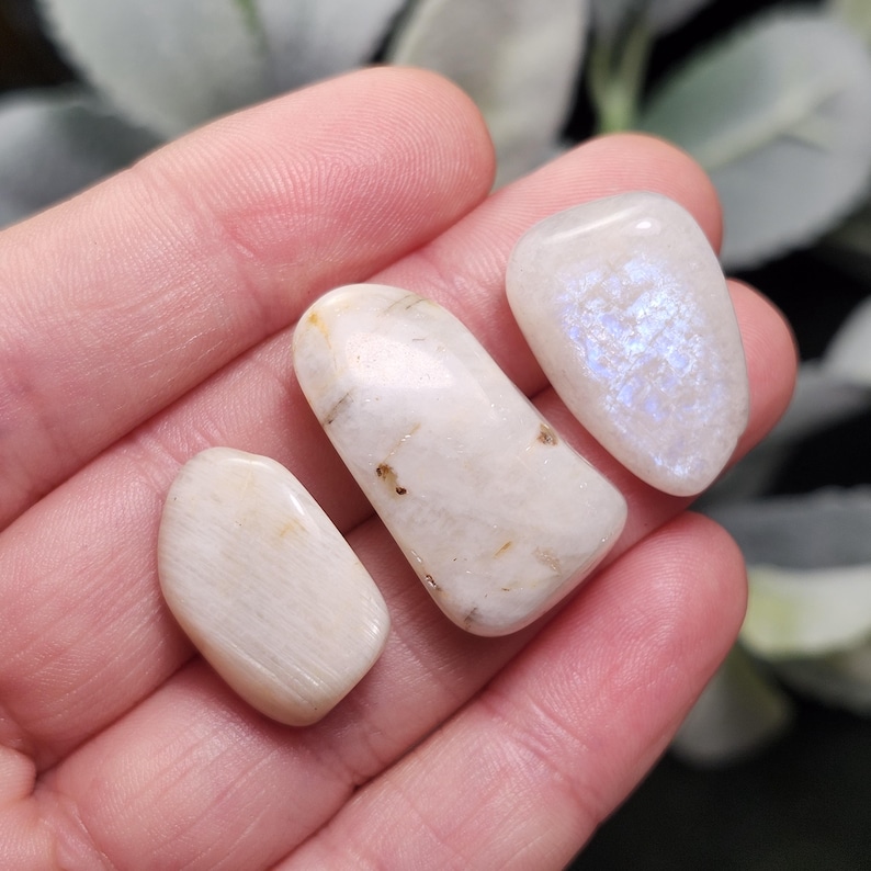 Puede incluir: Tres piedras preciosas de luna pulidas de diferentes tama&ntilde;os. Las piedras son principalmente blancas con sutiles destellos iridiscentes de azul y p&uacute;rpura. Las piedras son lisas y redondeadas, con un aspecto natural y org&aacute;nico.