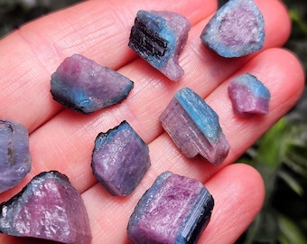 Paraiba Blue Tourmaline from Brazil, Choose Your Size - Natural Pink Blue Black Tourmaline Crystals, Tricolored & Bicolored Tourmaline