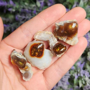 May include: A collection of four agate stones with brown, white, and gold patterns. The stones are smooth and polished, and they have a natural, organic look.