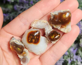 Mexican Fire Agate Specimen, Polished Natural Fire Agate From