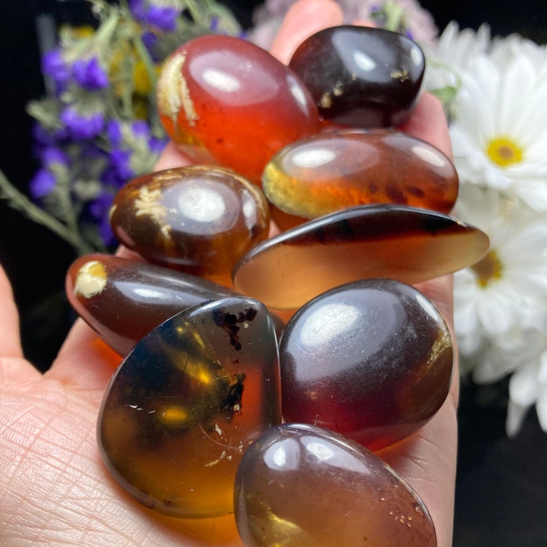 May include: A collection of amber stones in various shades of brown, red, and yellow. The stones are smooth and polished, and some have inclusions of insects or plant matter.