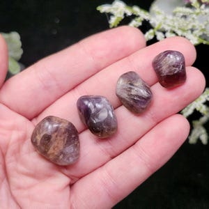 May include: Four polished amethyst stones in varying shades of purple and brown are displayed in a hand. The stones have a smooth, rounded shape and show natural patterns. The background is dark, highlighting the stones.