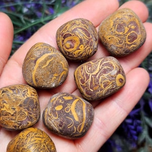 Sanskrit Stone - Calligraphy Stone - Miriam Jasper - Elephant Skin Stone - Calligraphy Jasper - Jasper Palm Stone - Script Stone