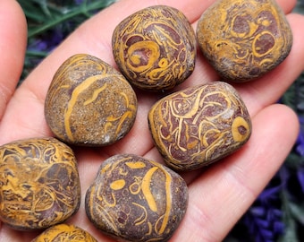 Okaz kamienia do kaligrafii: Kamień palmowy z jaspisu Miriam (15-20 mm)