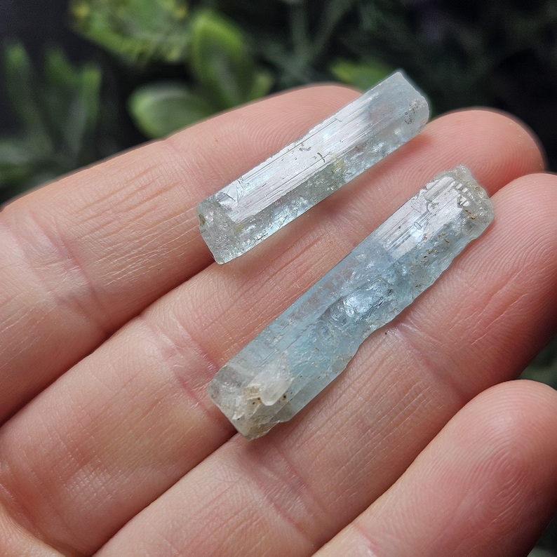 Puede incluir: Dos cristales de aguamarina en bruto, cada uno con un tono azul p&aacute;lido y una apariencia transl&uacute;cida. Los cristales tienen una textura natural y rugosa, presentados sobre un fondo verde borroso.