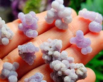 Puede incluir: Varios pequeños grupos de calcedonia botrioidal, que parecen uvas, en tonos lavanda y morado pálido. Las formaciones tienen una textura suave y redondeada. Las muestras de minerales naturales se muestran sobre un fondo borroso. Ideal para coleccionistas.