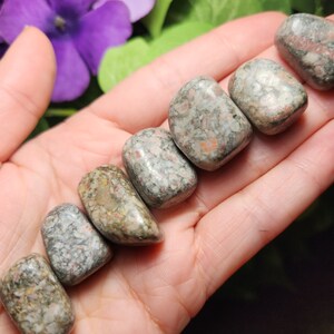 K&ouml;nnte beinhalten: Eine Sammlung von sieben Trommelsteinen mit einem gefleckten Muster in Grau, Braun und Rosa. Die Steine sind glatt und poliert und in einer Reihe auf einer Hand angeordnet.