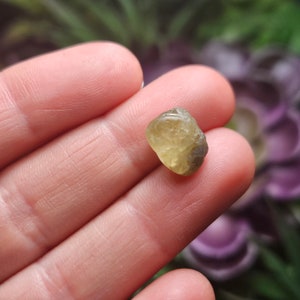 Puede incluir: Una peque&ntilde;a gema de color amarillo p&aacute;lido, tallada en bruto, con un aspecto ligeramente transl&uacute;cido. La piedra tiene una textura natural, sin pulir, y se sostiene entre dos dedos sobre un fondo borroso verde y morado.