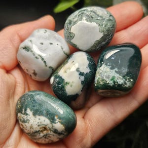 May include: Five polished moss agate stones with smooth, rounded surfaces. The stones feature a mix of opaque white and deep forest green colors, with intricate, moss-like inclusions and translucent areas visible across their glossy, tumbled textures.