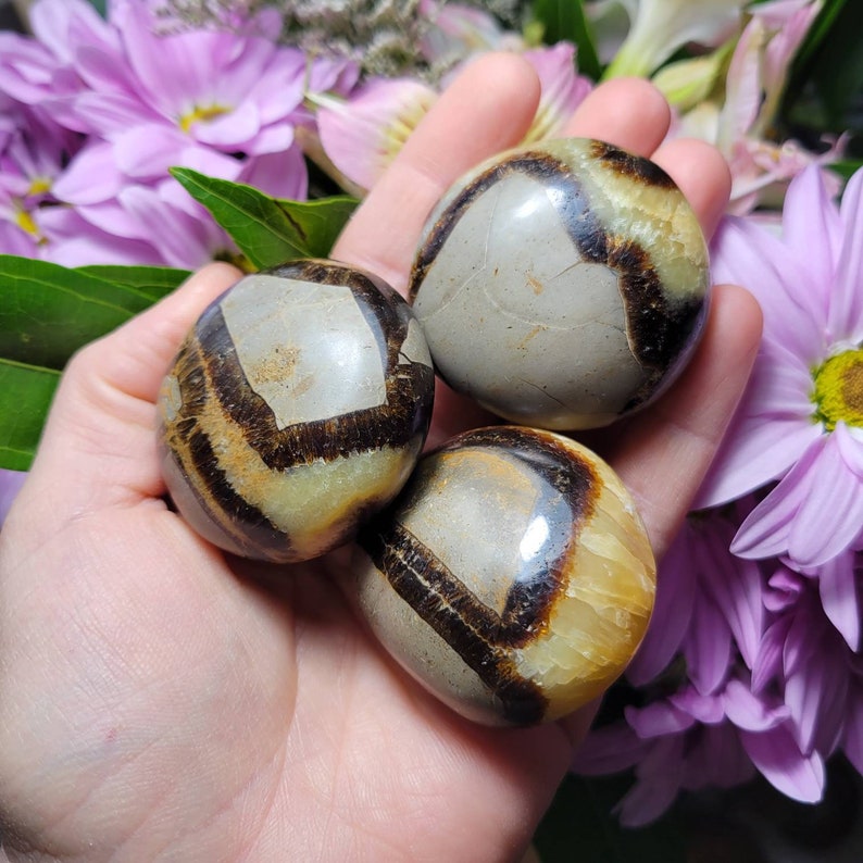 Septarian Geode Palm Stone (1.25"), Polished Septarian Dragon Egg, Tumbled Septarian Crystal image 5
