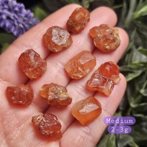 Spessartine Garnet Crystal, Raw Naturally Terminated Orange Garnet Specimen Medium (2-3g)