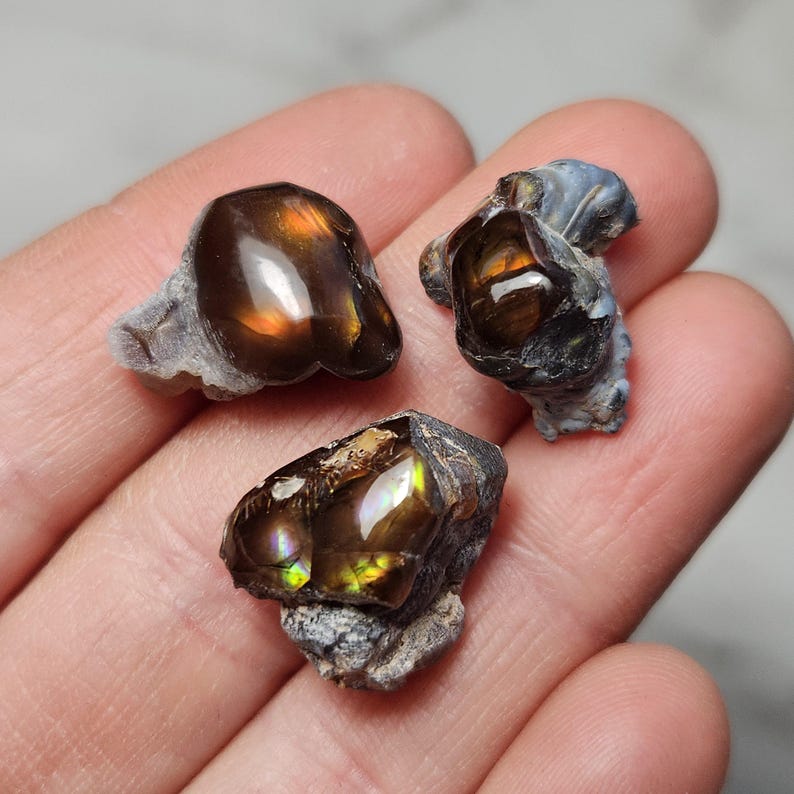 May include: Three iridescent agate stones with brown, black, and gold hues. The stones are rough and have a natural, unpolished look.
