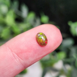 May include: A small, oval-shaped gemstone with a dark base color, displaying flashes of green, yellow, and red. The gem is held on a fingertip, with a blurred green background.