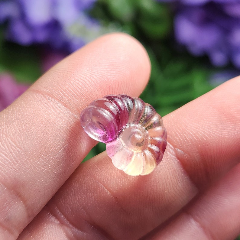Peut inclure: Un petit coquillage nautile en pierre pr&eacute;cieuse sculpt&eacute;e. La coquille pr&eacute;sente un motif en spirale avec des nuances de rose, de violet et de jaune. La pierre est tenue dans une main, avec un arri&egrave;re-plan floral flou.