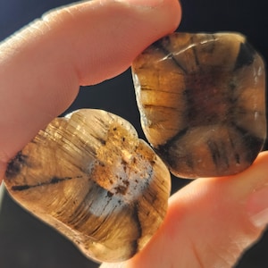 Polished Chiastolite Crystal: Natural Cross Stone Talisman