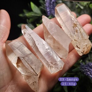 May include: Four clear quartz crystal points with natural facets and internal inclusions. The crystals are translucent with varying geometric shapes and pointed tips. A purple label in the corner displays the text XX-Large 25-40g.