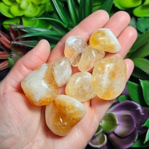Brazilian Citrine Crystal: Tumbled Polished Stone