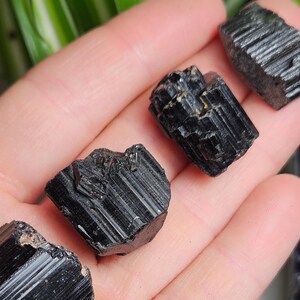 Peut inclure: Quatre cristaux de tourmaline noire brute avec des stries verticales distinctes et une finition opaque et brillante. Ces sp&eacute;cimens min&eacute;raux sombres et dentel&eacute;s pr&eacute;sentent des formes g&eacute;om&eacute;triques naturelles et des bords tranchants.