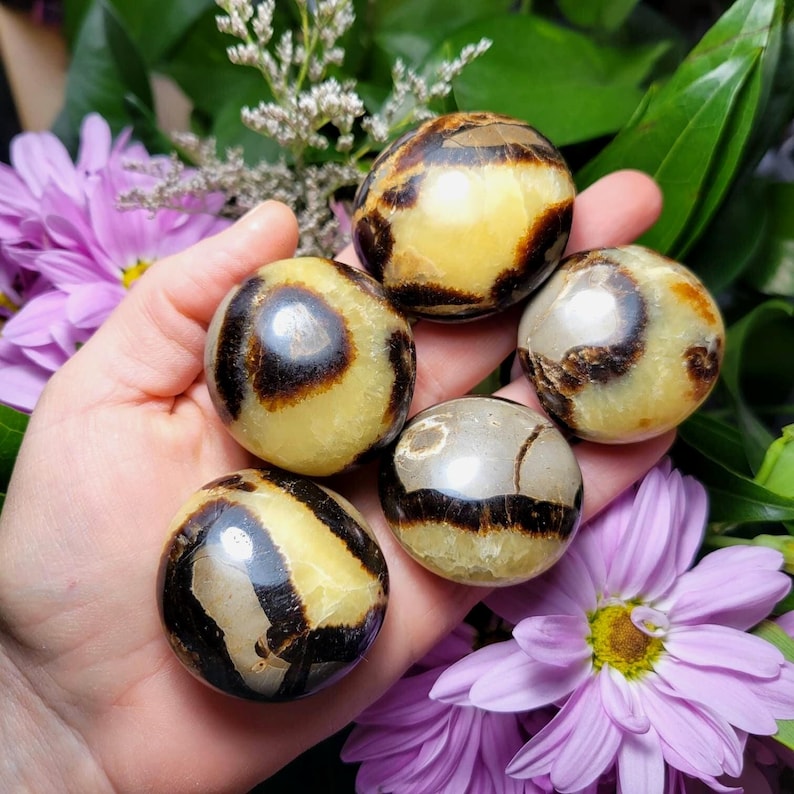 May include: Five polished, round stones featuring a smooth, glossy surface with a distinct color pattern of creamy yellow and deep brown bands. Each stone has a rounded, pebble-like shape with natural variations in the dark brown markings.