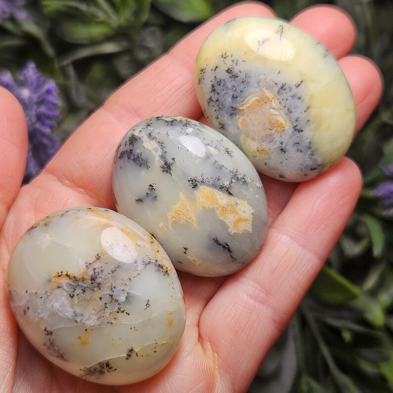 May include: Three polished, oval-shaped dendritic opal stones featuring a smooth, creamy off-white base color. Each stone displays intricate, dark, fern-like branching inclusions and subtle patches of warm golden-yellow mineral deposits.