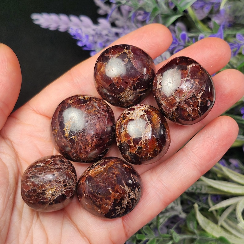 May include: Six polished, round gemstones in varying shades of deep red-brown are held in a hand. The stones have a glossy finish with lighter brown and gold inclusions. The background features purple flowers and green foliage.
