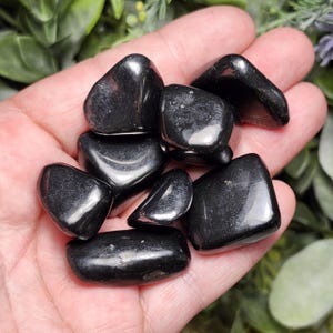 Cristallo di shungite lucidato: pietra di carbonio nero nobile d&#39;élite