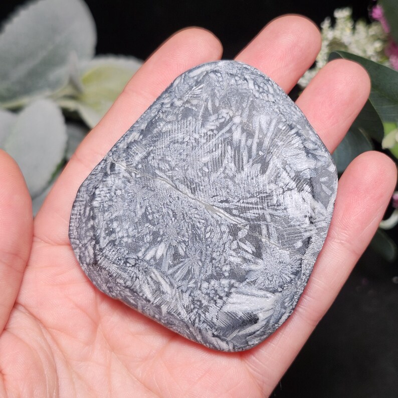 May include: A gray and white patterned stone held in a hand. The stone has a unique, natural design with a mix of gray and white hues. The pattern resembles a detailed, organic texture, possibly a fossil or mineral specimen.
