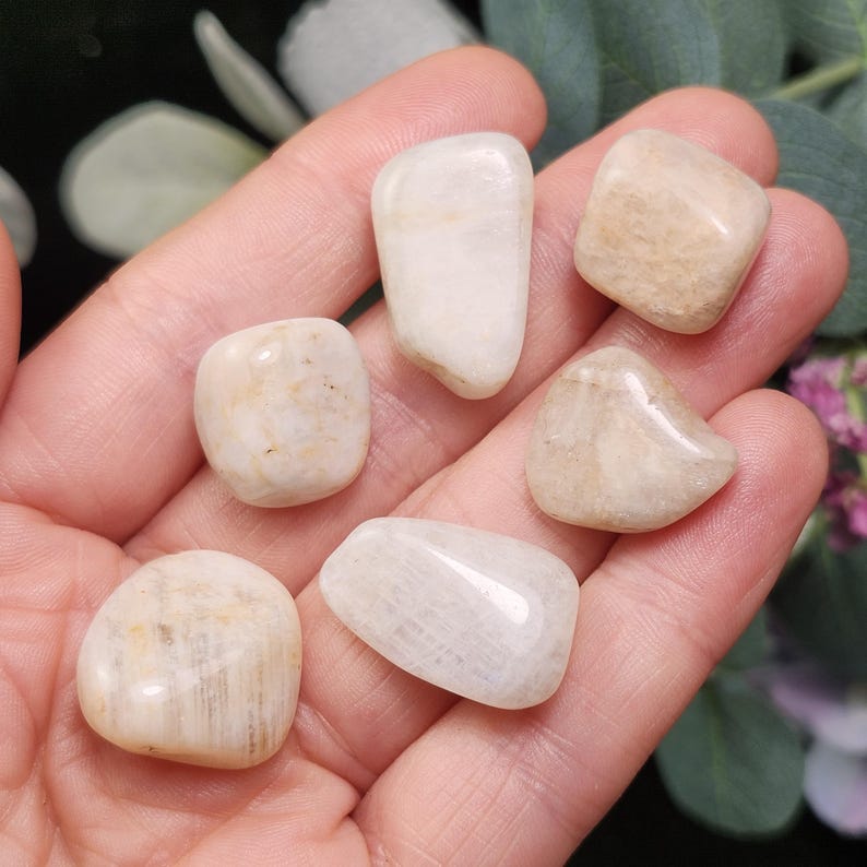 Puede incluir: Se muestran seis piedras pulidas y rodadas en tonos crema y beige. Las piedras tienen varias formas, con bordes lisos y redondeados. Las piedras se sostienen en una mano, con un fondo borroso de vegetaci&oacute;n.