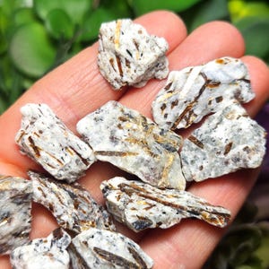 Astrophyllite Crystal - Raw Astrophyllite - Astrophyllite Palmstone Raw - Astrophyllite Specimen - Astrophyllite Raw - Natural Astrophyllite