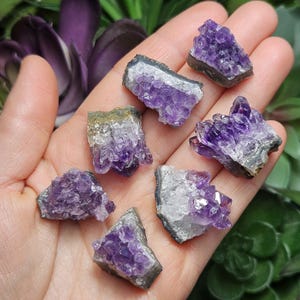 Pode incluir: Sete pequenos aglomerados de cristal de ametista com um esquema de cores roxo e branco. Os cristais est&atilde;o dispostos em uma m&atilde;o.