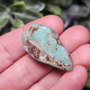 Chrysoprase Tumbled Stone - Grade A - Multiple Sizes Available - Chrysoprase Gemstone from Brazil - Tumbled Green Chrysoprase Crystal image 8