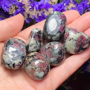 Polished Eudialyte Crystal: Rare UV Reactive Heart Chakra Stone