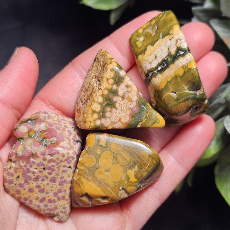 May include: A hand holds four polished gemstones. The stones display a variety of colors, including yellow, green, pink, and brown. The shapes vary from rectangular to triangular, with unique patterns and textures.