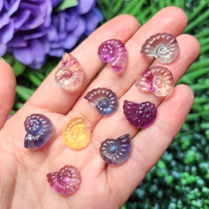 Peut inclure: Une collection de petits fossiles d'ammonites sculpt&eacute;s dans des tons de violet, rose, jaune et bleu. Les fossiles sont tenus dans une main, avec un arri&egrave;re-plan flou de verdure et de fleurs violettes.