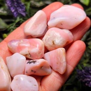 May include: A collection of smooth, tumbled pink opal stones with a polished finish. The stones exhibit varying shades of soft pastel pink, ranging from opaque to translucent, with some pieces featuring small, dark mineral inclusions.