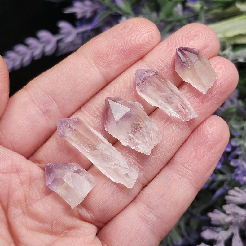 Puede incluir: Se muestran cinco puntas de cristal de amatista de diferentes formas y tama&ntilde;os. Los cristales son transl&uacute;cidos con puntas moradas y bases claras. Se sostienen en una mano abierta, con un fondo borroso de flores moradas.