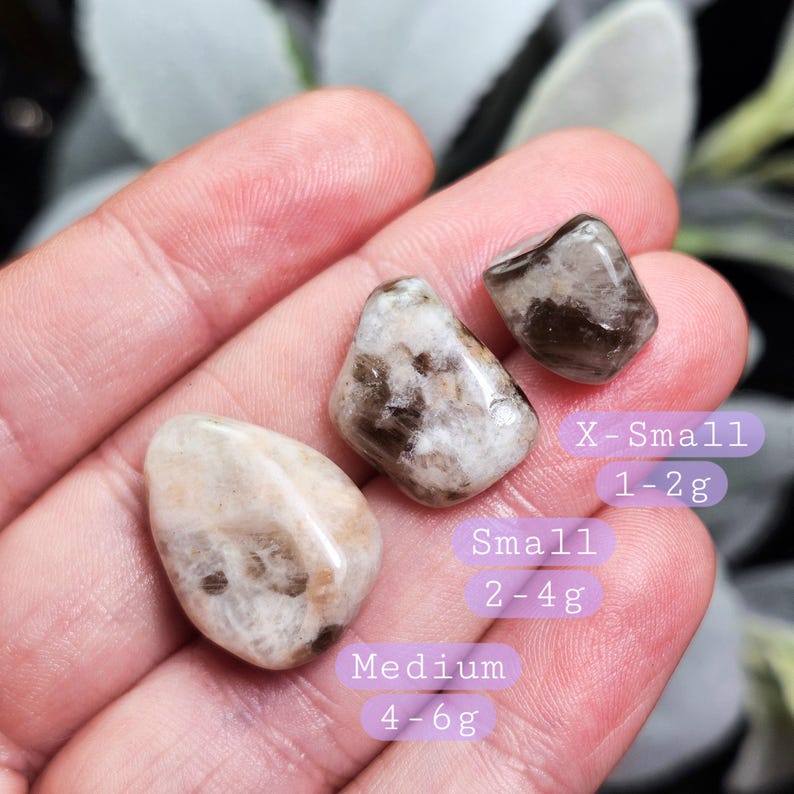 May include: Three polished, tumbled stones in varying sizes, held in a hand. The stones are primarily beige with brown inclusions. Text on the image indicates sizes: X-Small (1-2g), Small (2-4g), and Medium (4-6g).