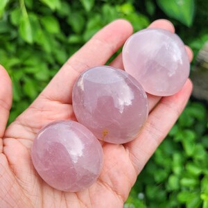 K&ouml;nnte beinhalten: Drei glatte, polierte Rosenquarzsteine mit einem durchscheinenden, blassrosa Farbton. Jeder Stein hat eine abgerundete, ovale Form mit einer gl&auml;nzenden, reflektierenden Oberfl&auml;che. Die Steine variieren leicht in Gr&ouml;&szlig;e und Klarheit.