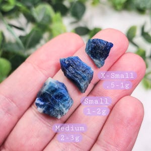 May include: Three raw, blue-colored crystals of varying sizes are displayed on a hand. The crystals are labeled X-Small, Small, and Medium, with corresponding weight ranges in grams. The background is a soft green.